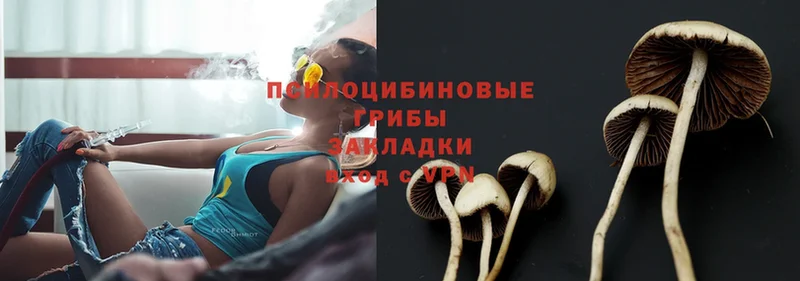 Галлюциногенные грибы Magic Shrooms  Верхний Уфалей 